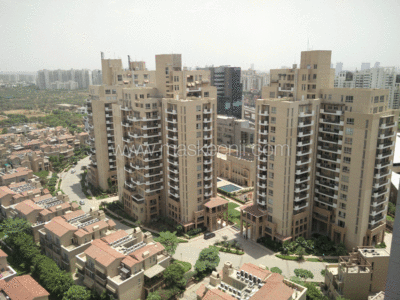 4 Bedrooms Apartment For Rent in DLF Belaire Sector 54 Gurgaon